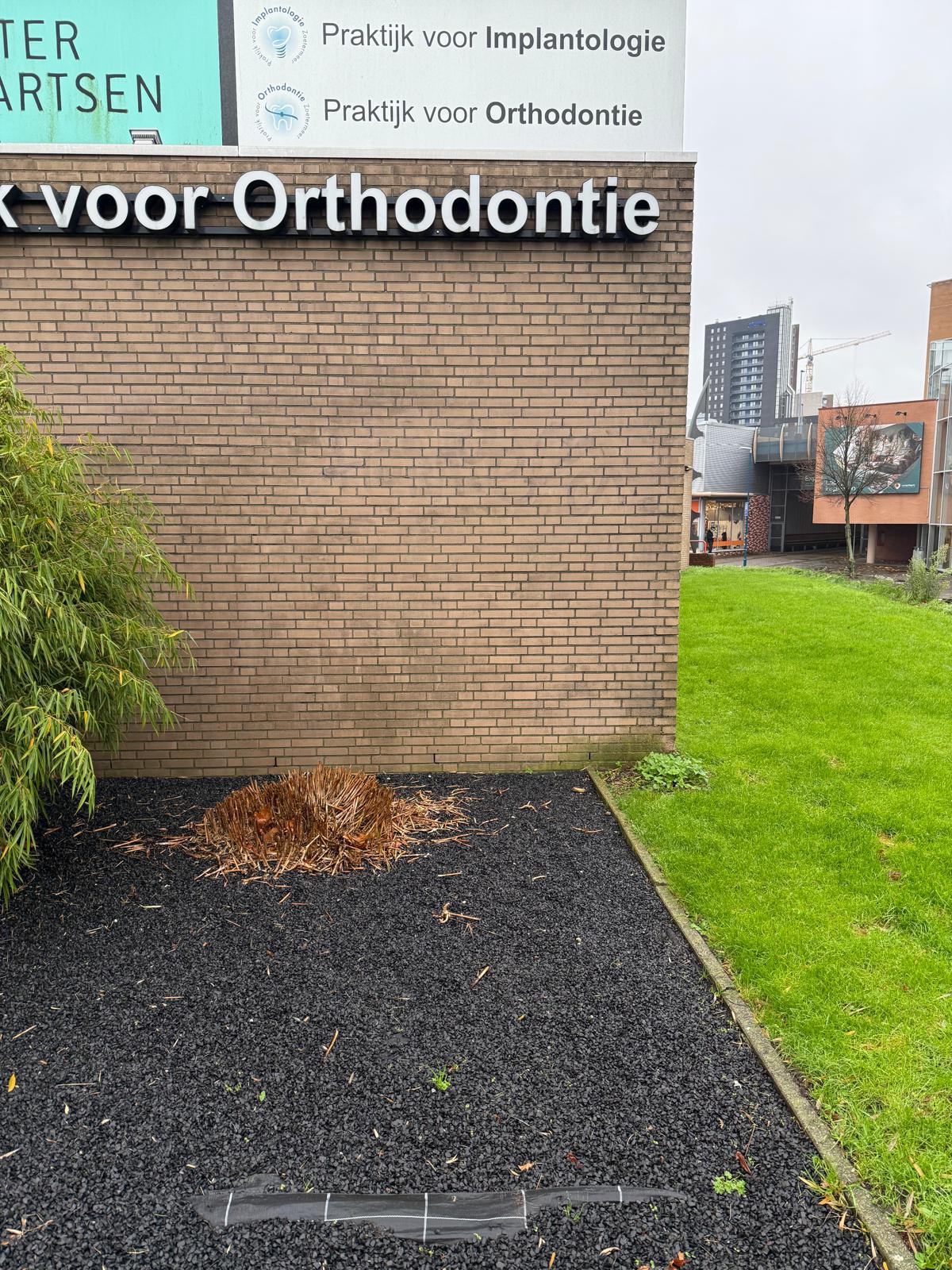Graffitiverwijdering Tandartspraktijk - Na