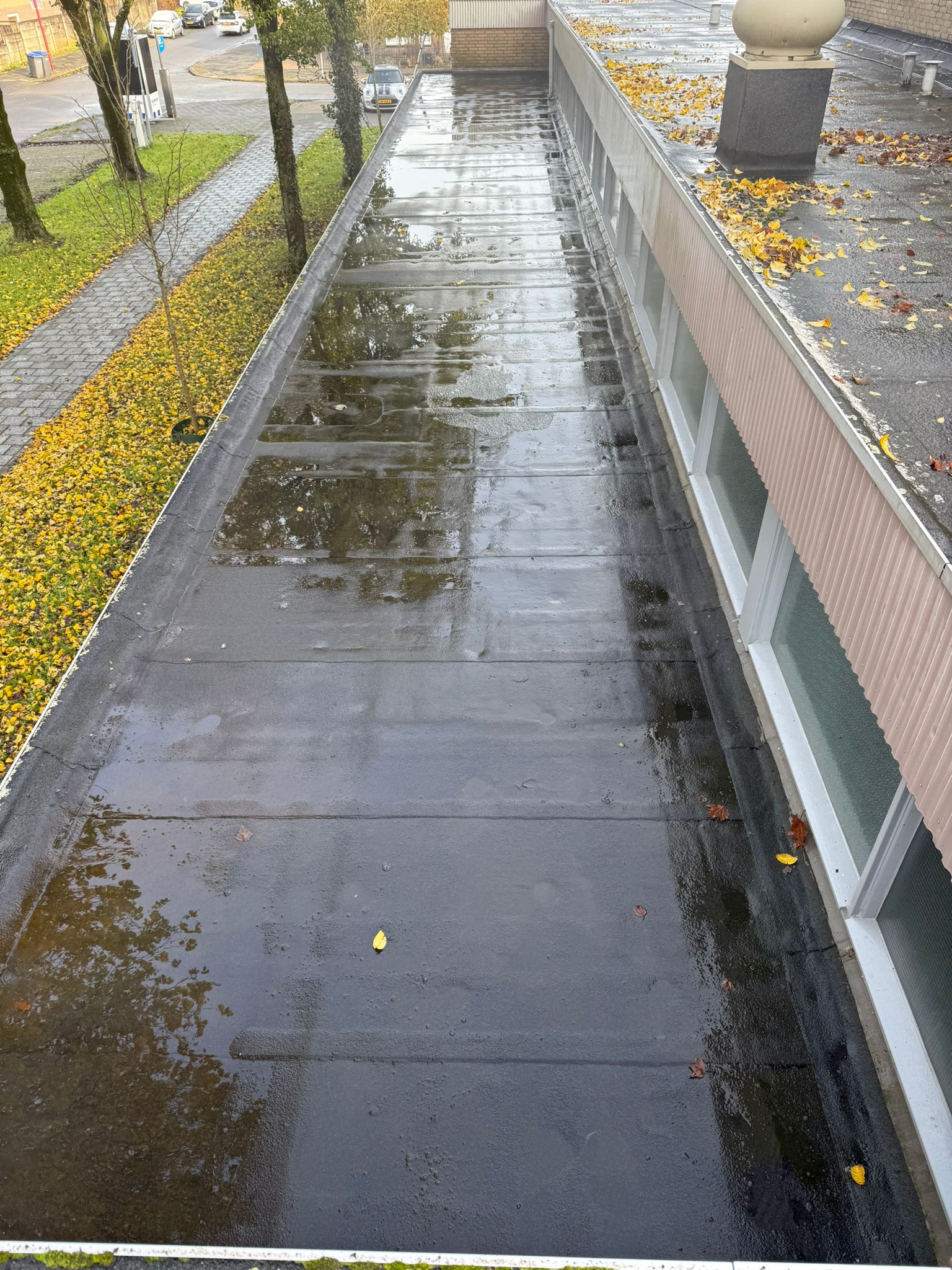 Softwash (Rinnowash)